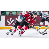 Media Release -- WHL Sweeps CHL Weekly Awards