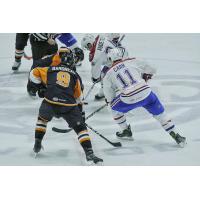 Phantoms Stage Epic Coneback at St. John's