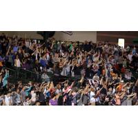 Free Fan Fest - April 15