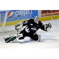 Steelheads Clinch 20th Consecutive Playoff Berth, Defeat Eagles