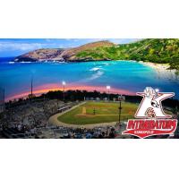 Intimidators Newsletter: Fan Fest Set for Sunday in Downtown Kannapolis; Opening Night on April 6