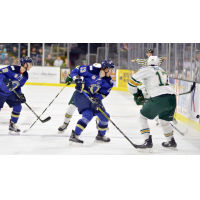 Swayman, Stampede Hold off Sioux City on Home Ice