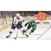 Bear Bites - Solar Bears Newsletter Presented by Fairwinds Credit Union