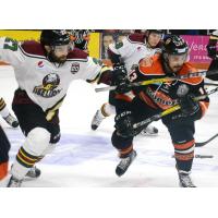 Komets Ground Mallards 6-1 in Playoff Tune-Up