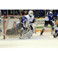 Sea Dogs Recall G Matthew Williams