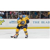 Toledo's Walters Named Sher-Wood Hockey=2FECHL Player of the Week