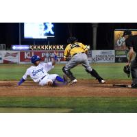 Legends Take 14-5 Win in Home Opener