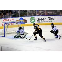 STEELHEADS: Steelheads Ground Eagles in Game 1