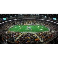 Georgia Swarm to Host First-Ever Home Playoff Game on Saturday, May 20