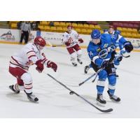 Fred Page Cup Finals Tied at One - Game 5 Between Chiefs and Vees Goes Saturday April 22