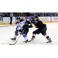 STEELHEADS: Steelheads Weekly Report: April 17
