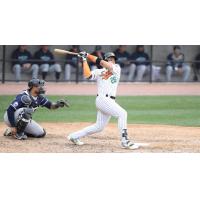Ducks Blank Black Sox in Spring Training Action