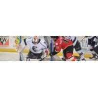 Monarchs Fall to Thunder, 3-1