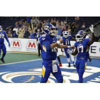 Tampa Bay Storm Sweeps AFL Weekly Awards