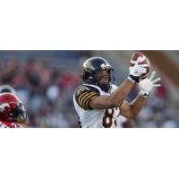 CFL News - Wednesday, April 26th, 2017