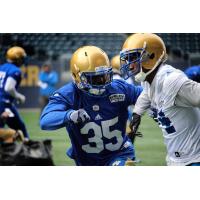 The Mini-Camp Recap - Bomber Insider