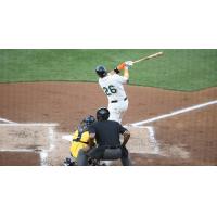 Songco's Blast Not Enough as Bees Top Ducks