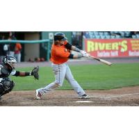 Long Island Rallies Past York in See-Saw Ballgame