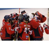 Stingrays and Everblades Continue to Battle