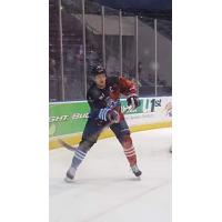 Amarillo Bulls Captain Matt Nehls Commits to Augsburg College