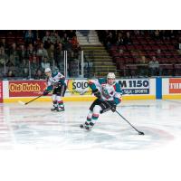 Johansen Added to Bears Roster on Amateur Tryout