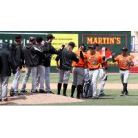 Ducks Offense Strikes Again in Twinbill Opener