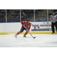 Amarillo Bulls Defenseman Phil Fromberger Commits to St. Thomas University DIII
