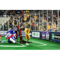 Georgia Swarm Will Face Toronto Rock in NLL East Division Finals
