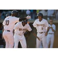 RiverDogs Down ShoreBirds in Home Run Filled Outing