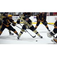 Texas Stars Sign Sheldon Dries & Shane Hanna for 2017-18 Season