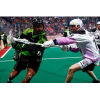 RUSH vs. MAMMOTH Game Notes