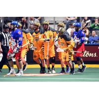Georgia Swarm Takes 1-0 Series Lead in East Division Finals