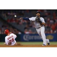 Revolution Sign Former Big League Infielder Carlos Triunfel