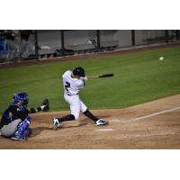 Skeeters Take Series Finale to Earn Split with Patriots