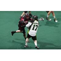 RUSH vs. MAMMOTH Game 2 Notes