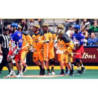 Georgia Swarm Returns Home for Game 2 of East Division Finals this Saturday