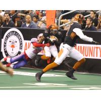 : Rattlers Soar over the Screaming Eagles, 63-33