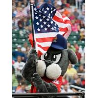 Sea Dogs Return Home for Memorial Day Weekend