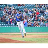 Canaries Late Comeback Effort Falls Short in Winnipeg