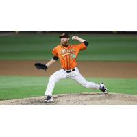 Ducks Silenced by Skeeters