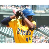 The Birds Become the Butchers in 14-4 Win over the Kansas City T-Bones