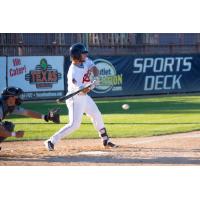 Ringhofer Picks up Offense in Walk-Off Win