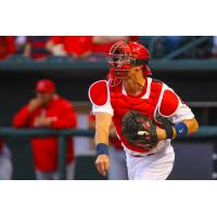 Kelly Tabbed Cardinals Minor League Player of the Month