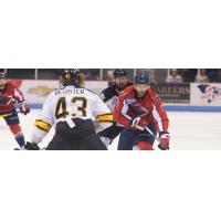 Stingrays Season Ends in 2-1 Loss to Colorado