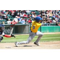 Motl's Big Night Pushes Canaries to Series Win in Cleburne
