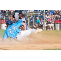 Eden, Selman Lead Offense in Extra Innings Loss