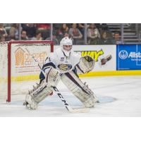 Kotkansalo & Swayman Selected in NHL Daft