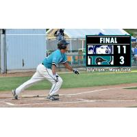 Echavia Stays Hot in Loss to Huskies