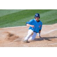 Rox Power Past Honkers in Shutout Win