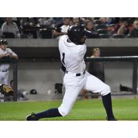 Somerset Patriots Outfielder Justin Pacchioli's Contract Purchased by Boston Red Sox